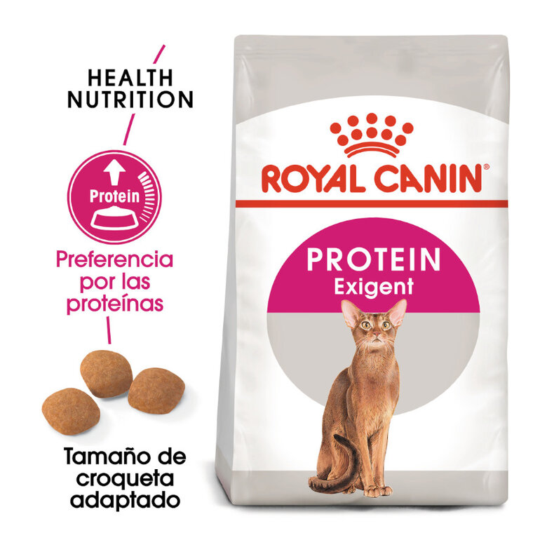 Royal Canin Adult Exigent Protein pienso para gatos, , large image number null